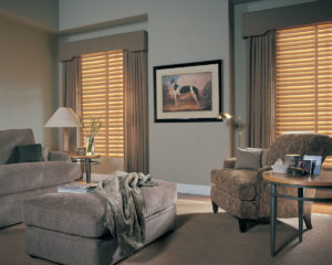 Wood Blinds Sitting Area